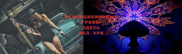 spice Бежецк
