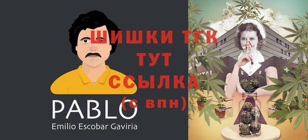 MESCALINE Лабытнанги