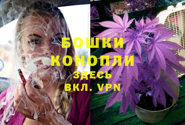 прущие грибы Лиски