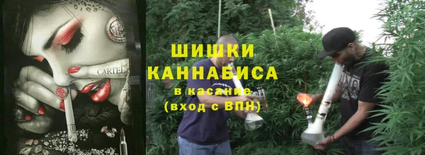 прущие крисы Белая Холуница
