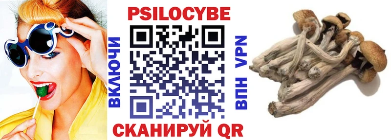 Псилоцибиновые грибы мухоморы  Кяхта 